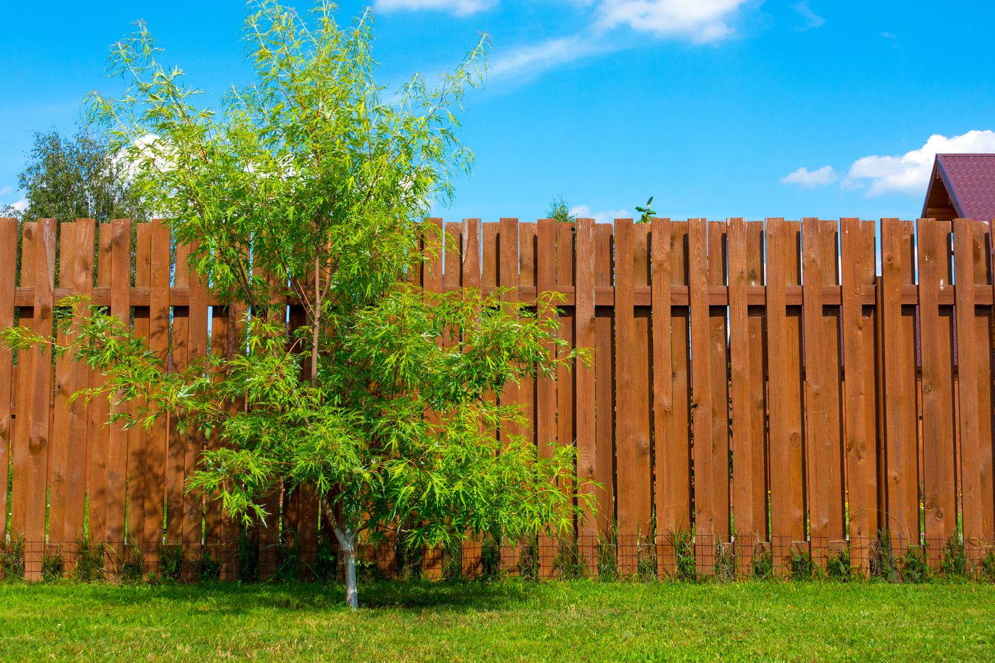 What fencing is best for high winds