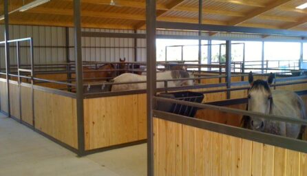 Horse Stalls