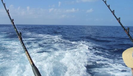 Pensacola fishing charters